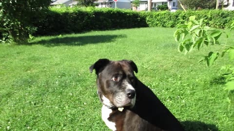 Summer video part 2 of Mia