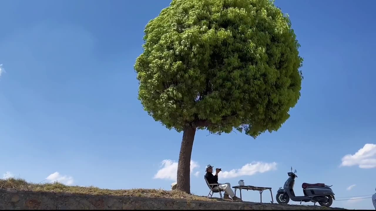 thetree