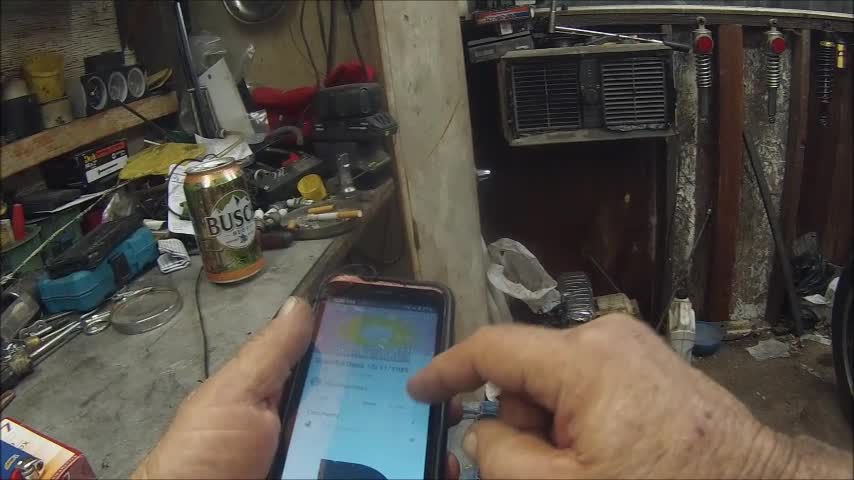 Now I can see their color