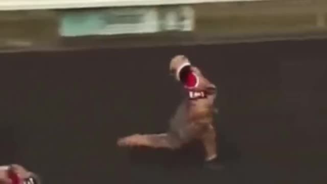 Foreign funny videos, great reward for foreigners' confusing behavior