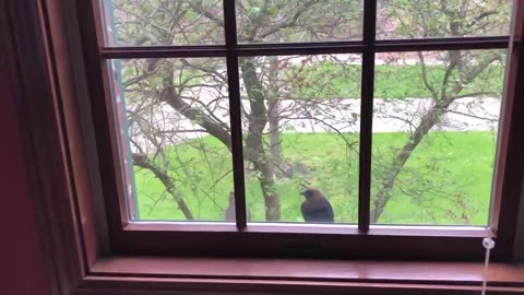 April 30, 2022 - What's That Tapping Noise?