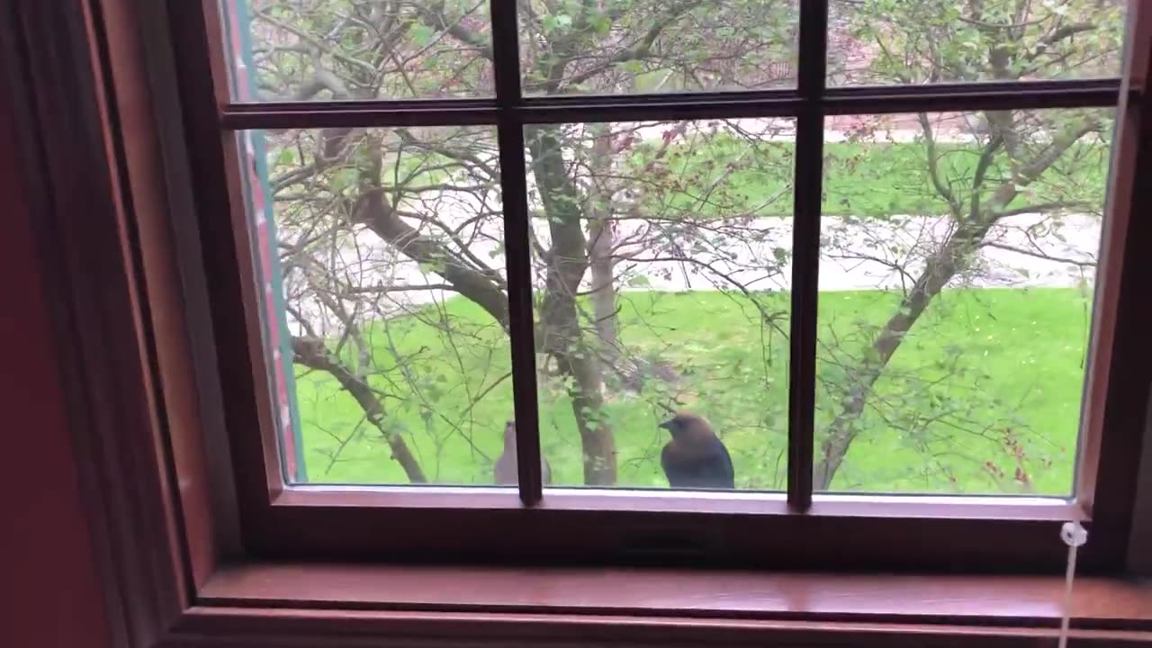 April 30, 2022 - What's That Tapping Noise?
