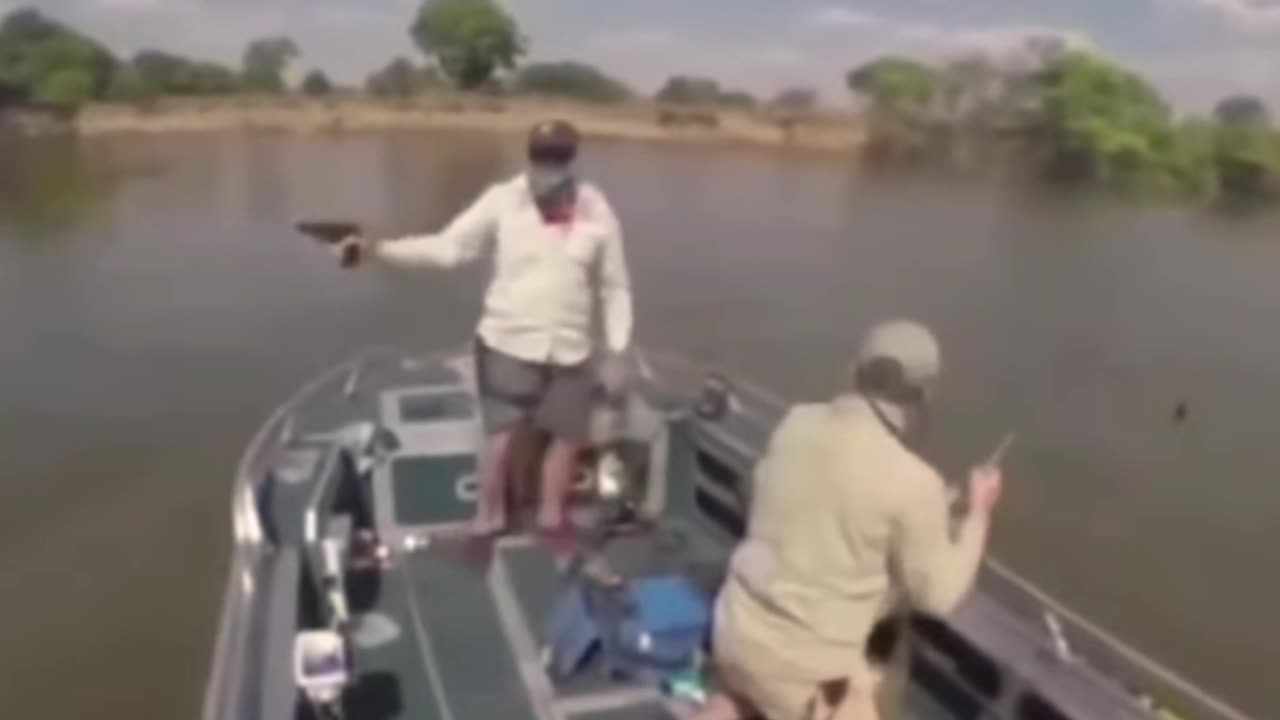 Top 15 Scariest and Crazy Wild Animal Encounters