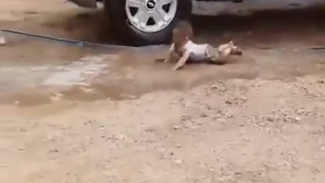 Funny video