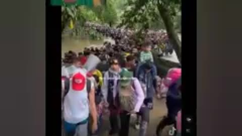 BLACK PDDCASTER: BAN NIGGAZ, FULL BLOWN SOUTHERN BORDER INVASION