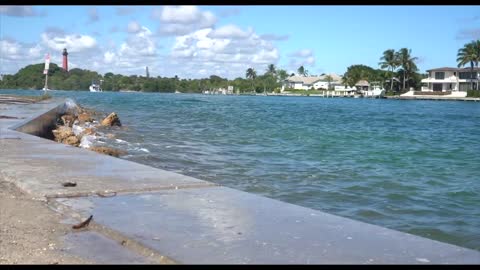 Catching EXOTIC PARROT FISH For My SALTWATER POND!!