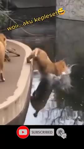 Comedy video scenes 😂😂😛😛