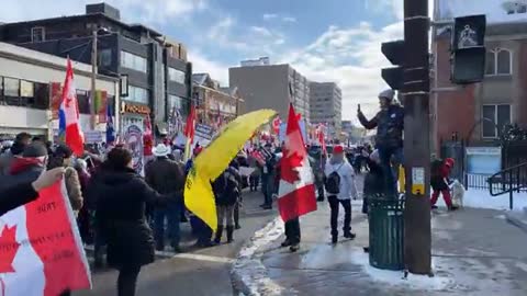 Calgary march freedom central