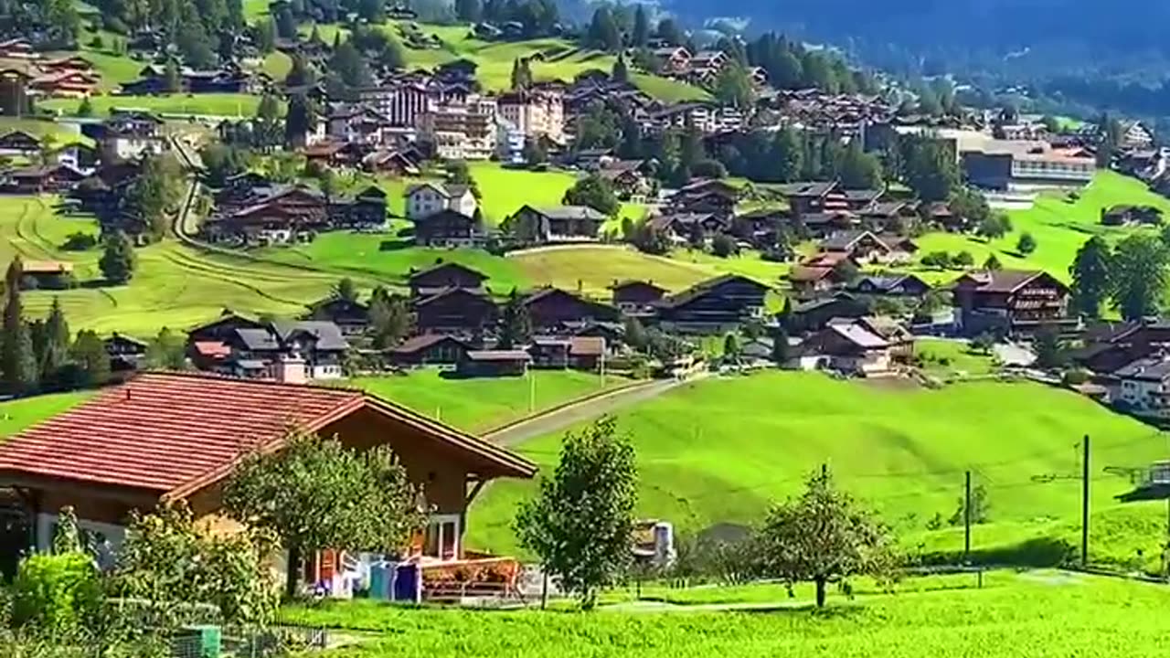 Relaxing music with lovely Nature