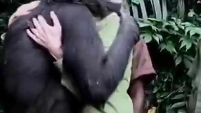 Go back home , it's heart touching...watch till end 😲😲