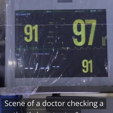 Heartbeat of Your Wealth Monitoring Your Portfolio Health