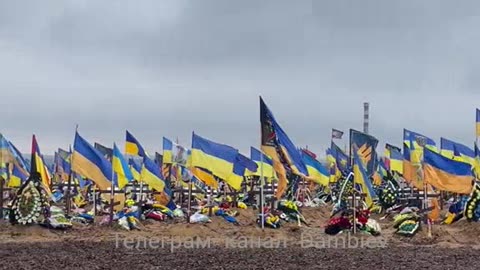 It seems that 31,000 AFU men are buried in this Ukrainian cemetery alone.