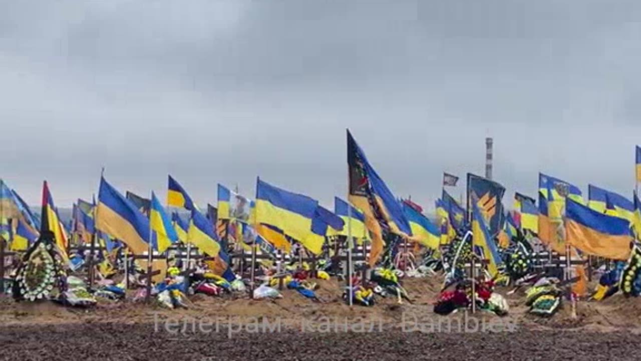 It seems that 31,000 AFU men are buried in this Ukrainian cemetery alone.