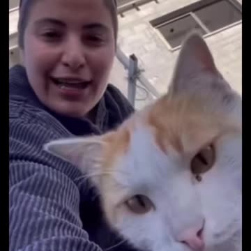 THE GAZAN`S AND THEIR CATS