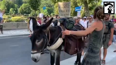 Figeac, France: Vaccine Passport Protests August 21, 2021