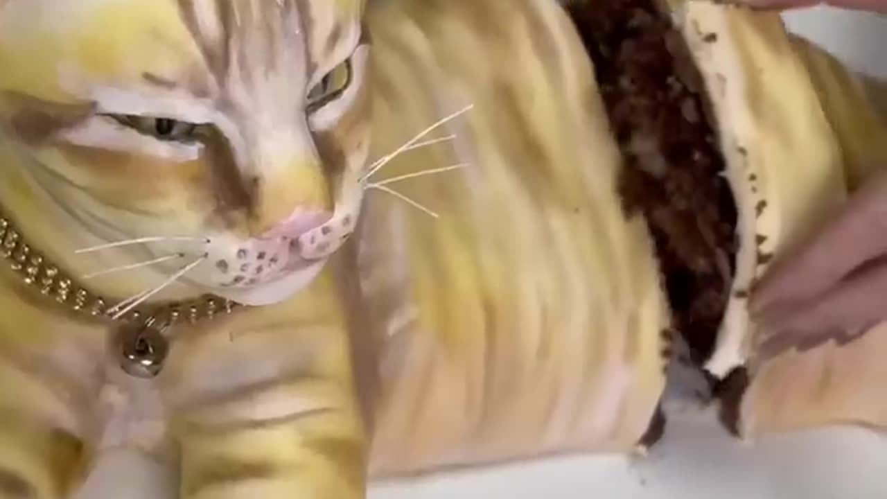cat cake