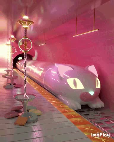 Cute Cat Train Gif! 🚂