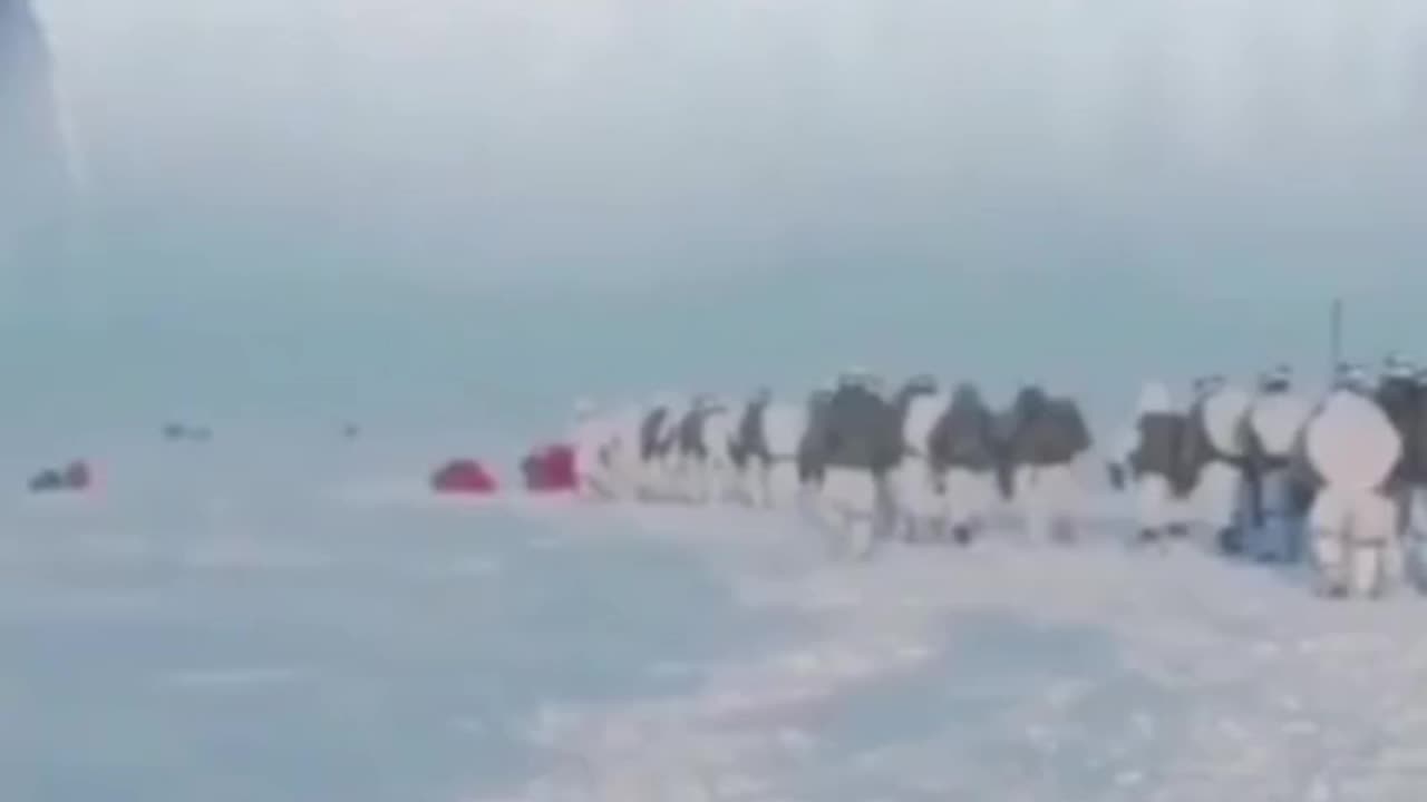 Artic