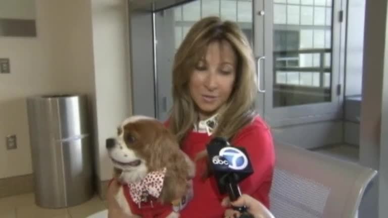 Poochy pals present perfect Valentine's to patients