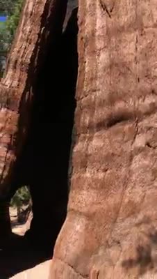 Sequoia National Park