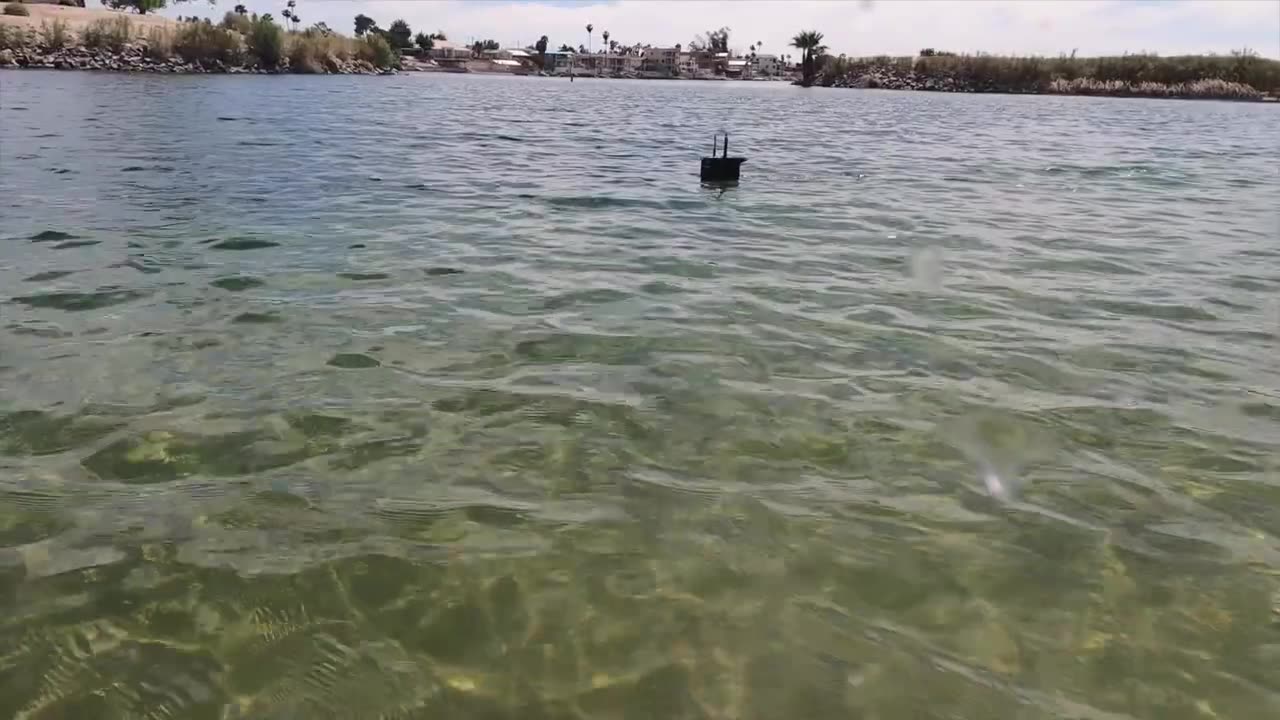 Walrus Class Submarine running in the Colorado River