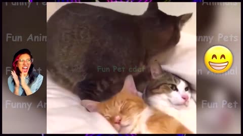 The Funny 😺 Animals