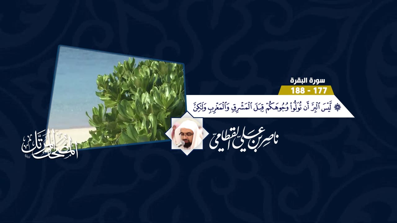 Live Stream Quran