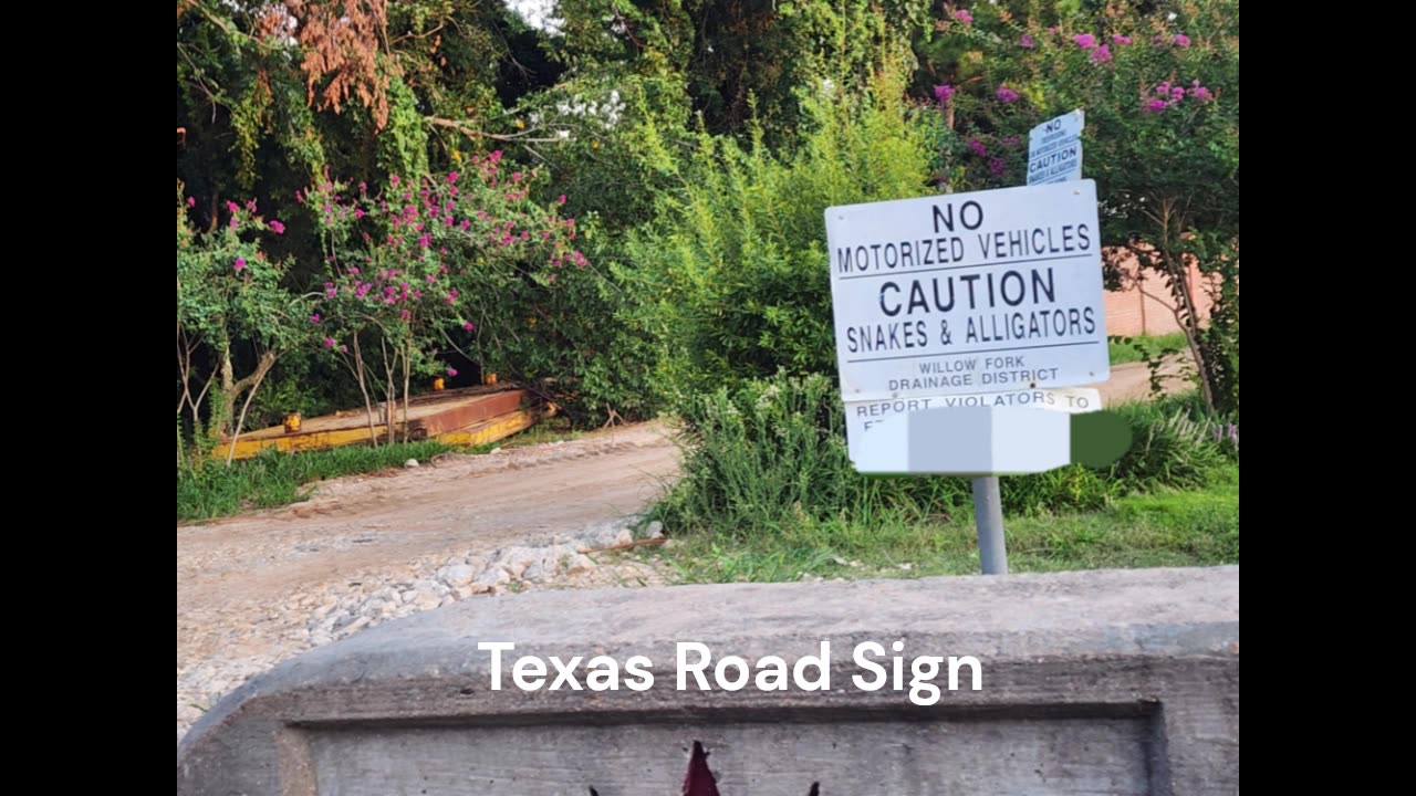 Texas Road Sign