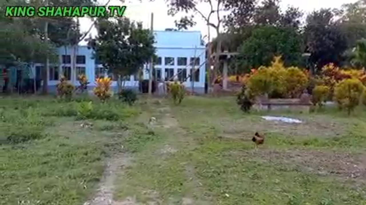কিং শাহ্পুর উওর পাড়া জামে মসজিদ পর্ব ০৯ পরিচালনা কিং শাহ্পুর টিবি প্লিজ লাইক কমেন্ট শেয়ার এন্ড