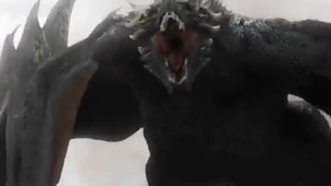 Crazy dragon