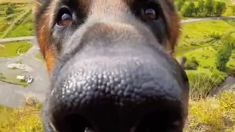 Snout Cam