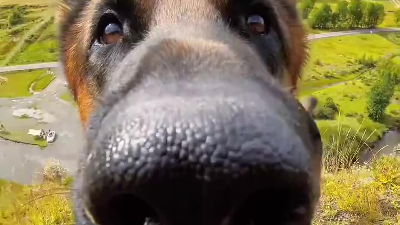 Snout Cam