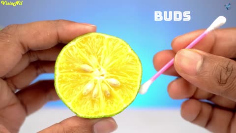 8 Easy Science Experiments and Science Activity To Do At Home