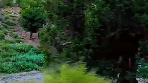 Beautiful ziarat