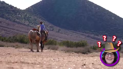 Stephen Sharer In Desert