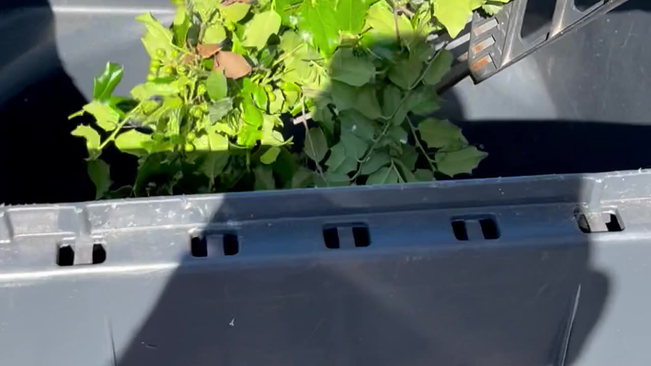 Clean Up After Cut Done