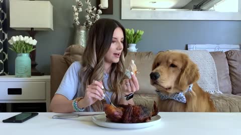 Funny dog reaction to chicken food