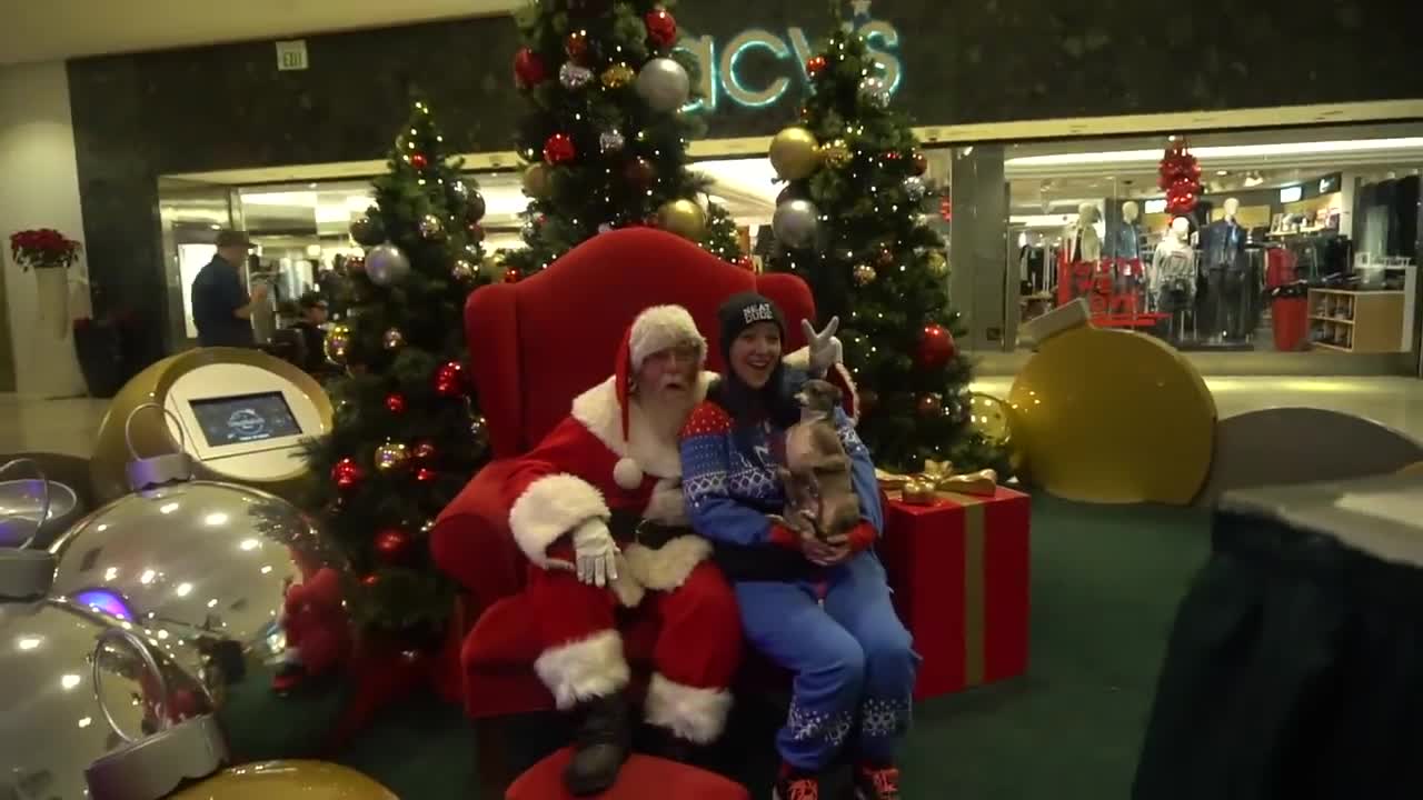 Dog Goes to the mall to meet santa!