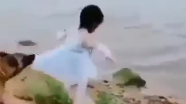 Dog saves a little girl like a Boss!