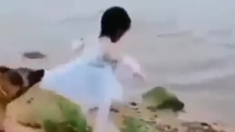 Dog saves a little girl like a Boss!