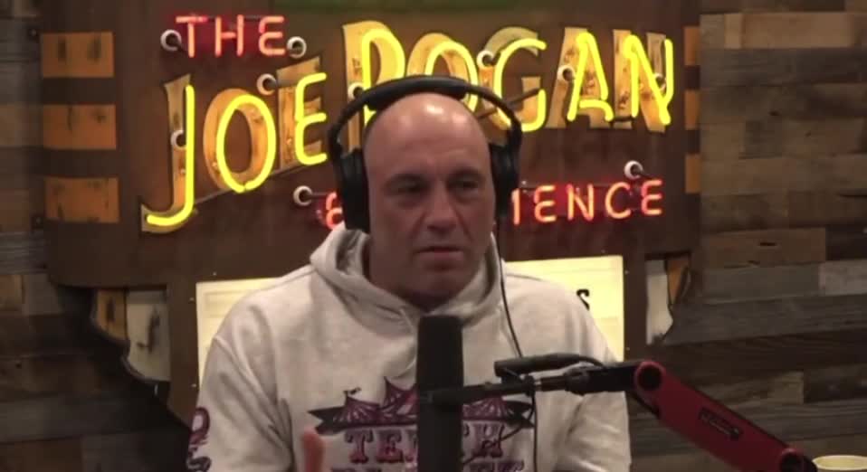 oe Rogan Denounces Sexual Education for Young Children