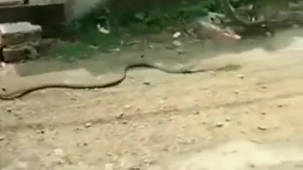 😆