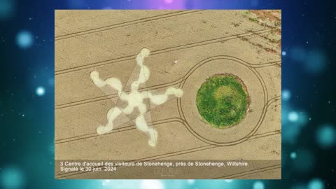 Les crop circles de 2024 Umberto Molinaro