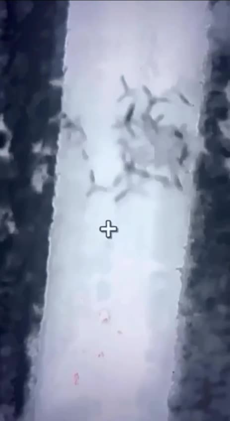 Sharply sharpened mini-hedgehogs dropped from the air onto the roads used