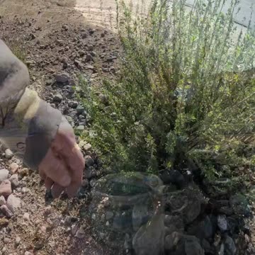 Could this be a Geocache with some cash?