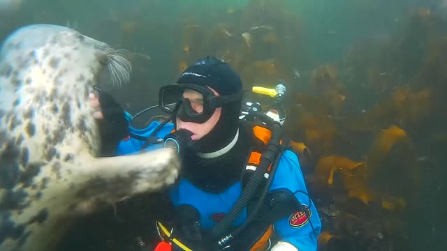 Underwater Pals Playing