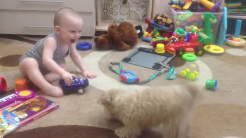 Dog plays with a baby