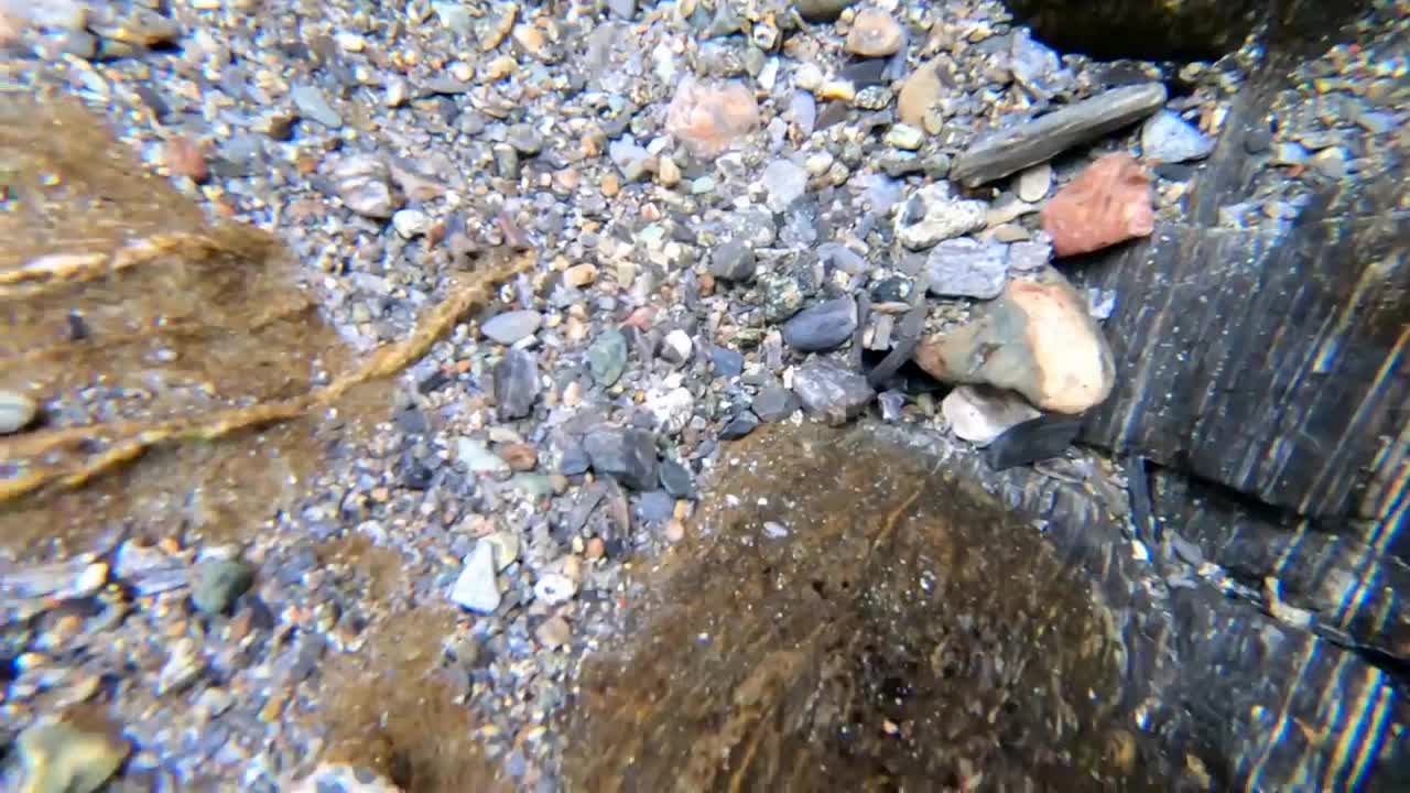 RECORD PILE OF GOLD FOUND UNDERWATER!!