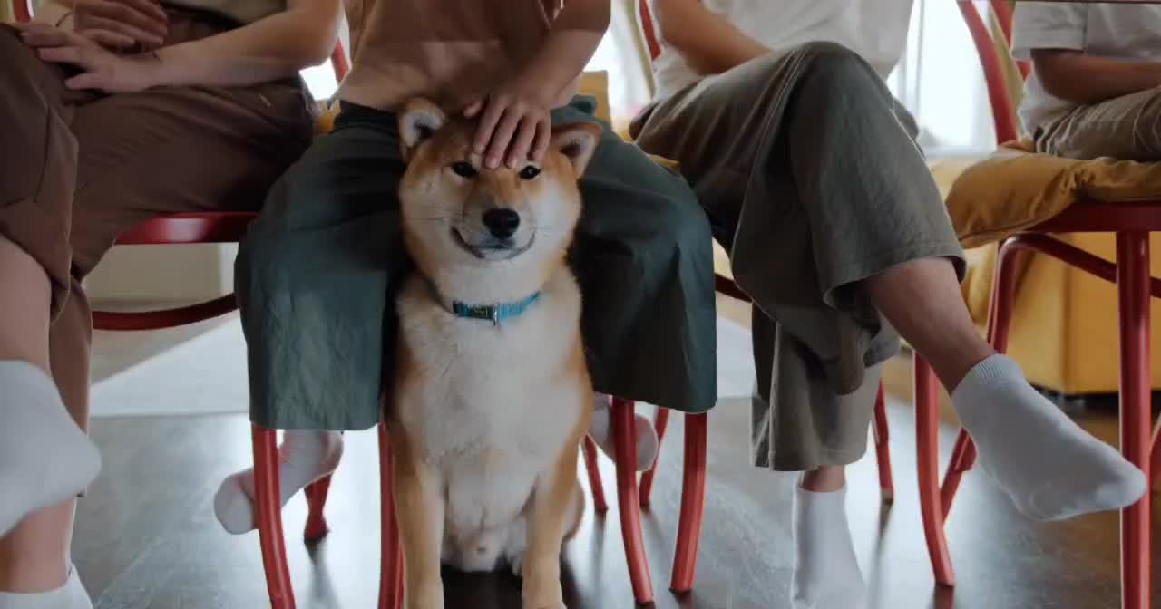 The little cutie under the table