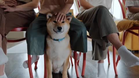 The little cutie under the table